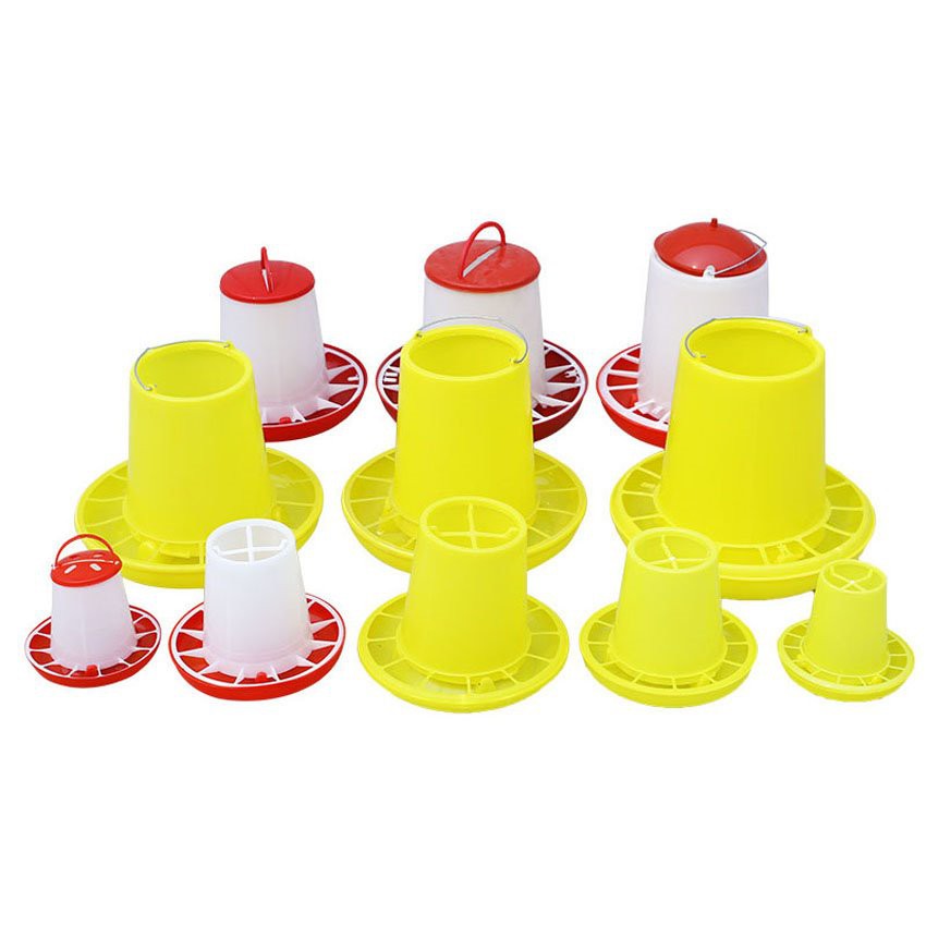 detail of chicken food plate