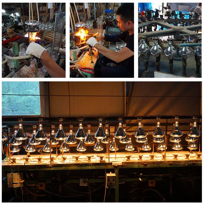 factory of keeping chicks warm lamp factory of keeping chicks warm lamp