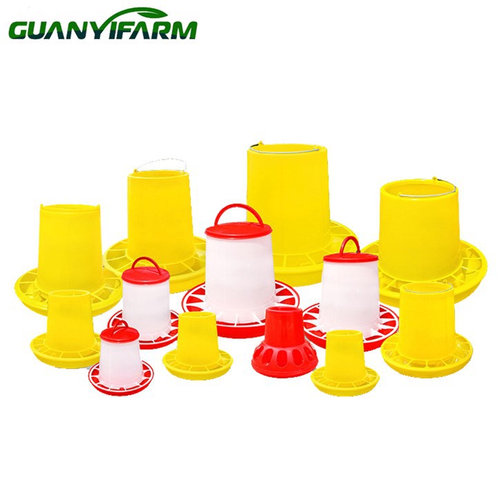 মুরগির খাবারের প্লেট