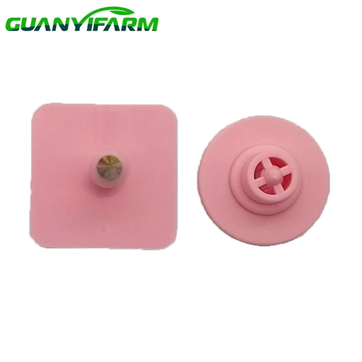 Ear Tagging For Domestic Livestock