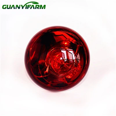 বাচ্চাদের জন্য ইনফ্রারেড বাল্ব