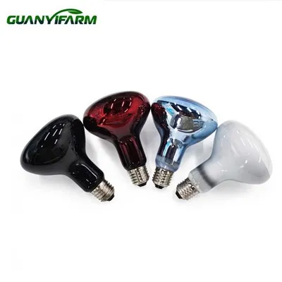 সরীসৃপ জন্য ইনফ্রারেড আলো