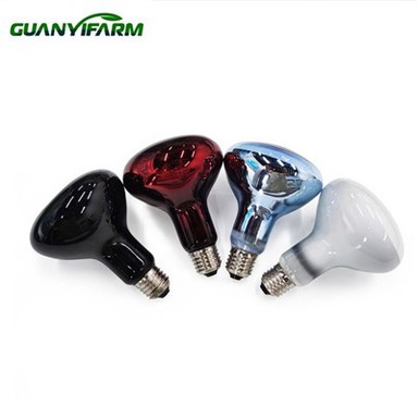 সরীসৃপ জন্য ইনফ্রারেড আলো