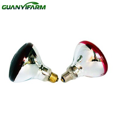 PAR38 প্রজনন গরম বাতি