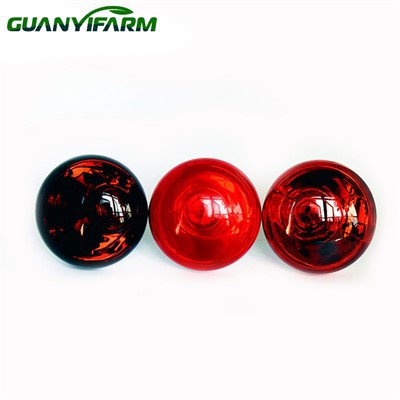 টপ রোস্টেড রেড হিট বাল্ব