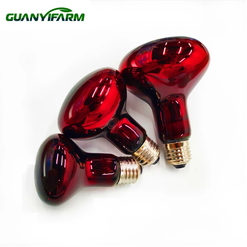 photobank 20 photobank 20