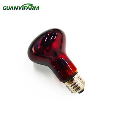 150 ওয়াটের সরীসৃপ বাল্ব