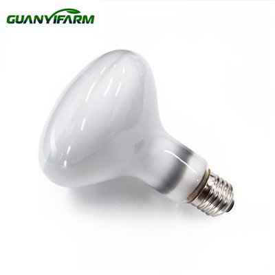 সরীসৃপ বাস্কিং বাল্ব